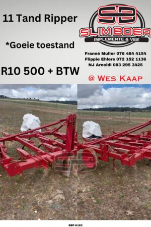 Ripper, 11-tand, Goeie toestand